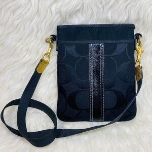 Coach Signature Stripe Swingpack crossbody bag